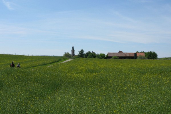 Kirchturmspitze der Birnau