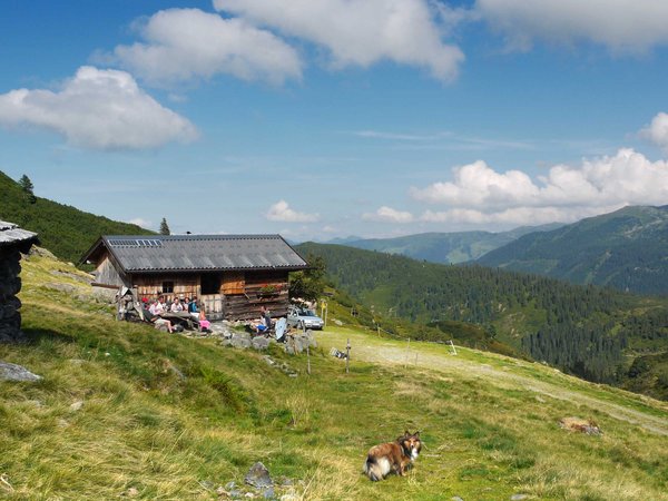 Blick von der Gressensteinalm nach NO. Über den grünen Rücken im Mittelgrund führt der<br />Weg auf den Hengstkogl.